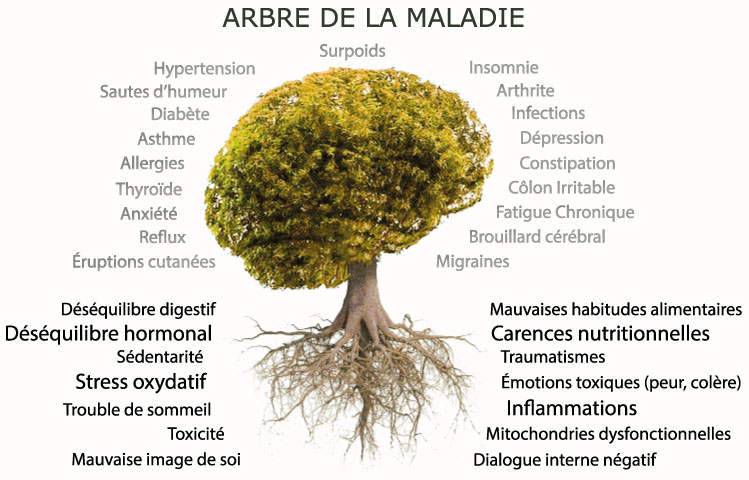 arbre des maladies